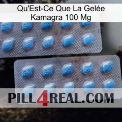 What Is Kamagra Jelly 100Mg viagra4